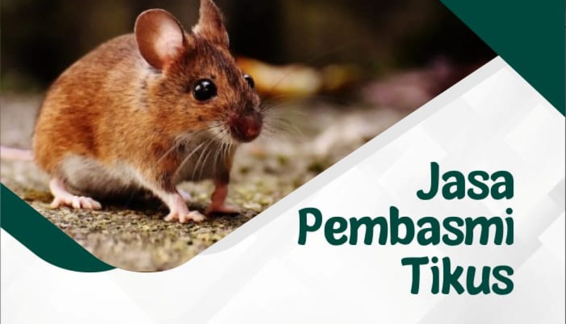 3a8c154c-df31-4d45-9f0a-f45782a85631