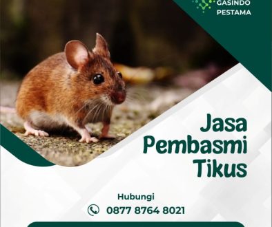 3a8c154c-df31-4d45-9f0a-f45782a85631