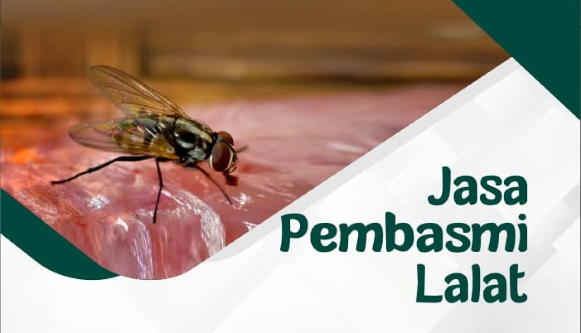 97e99e78-6d7c-45d4-869d-34a89c10530a