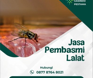 97e99e78-6d7c-45d4-869d-34a89c10530a